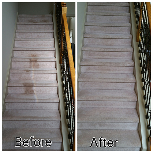 Carpeted Stairs Cleaning