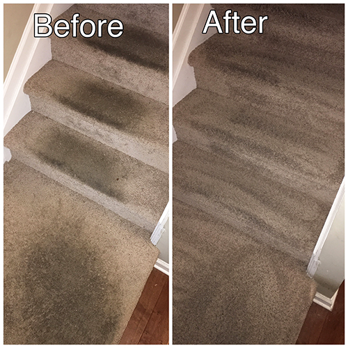Carpeted Staircase Cleaning
